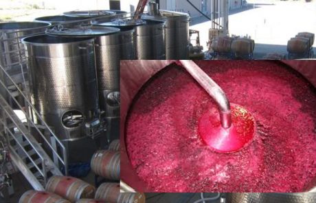Como-se-elabora-un-tinto