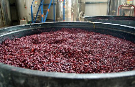 Paradas de Fermentación del Vino